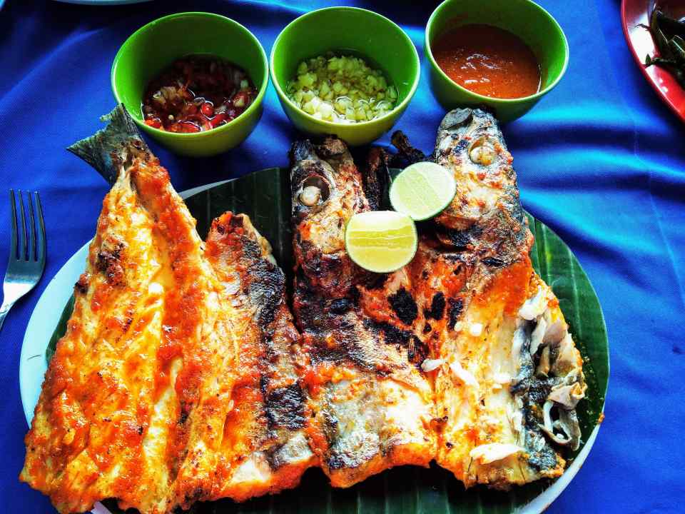 mahi_mahi_Jimbaran_bali