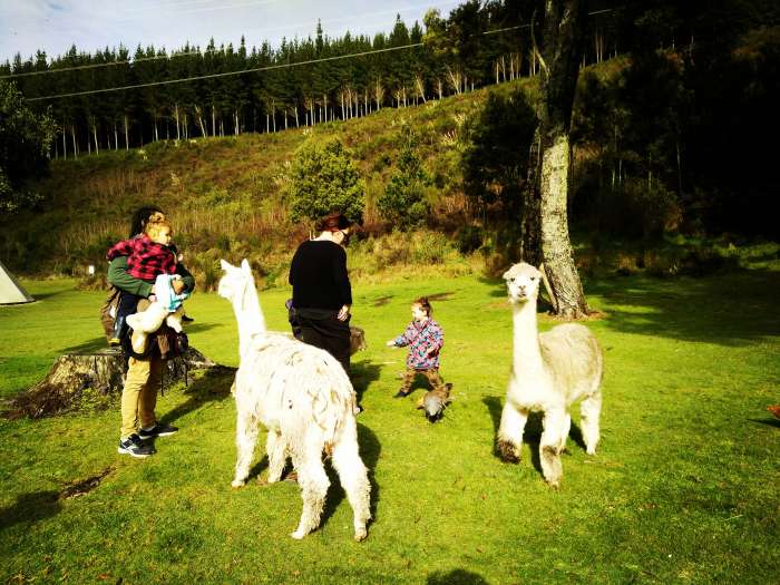 airbnb_o_new_zealand airbnb_o_new_zealand