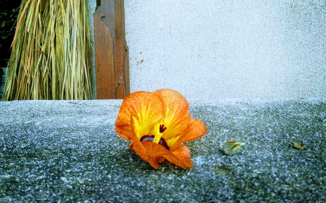 Những Quý Nhân Của Mình