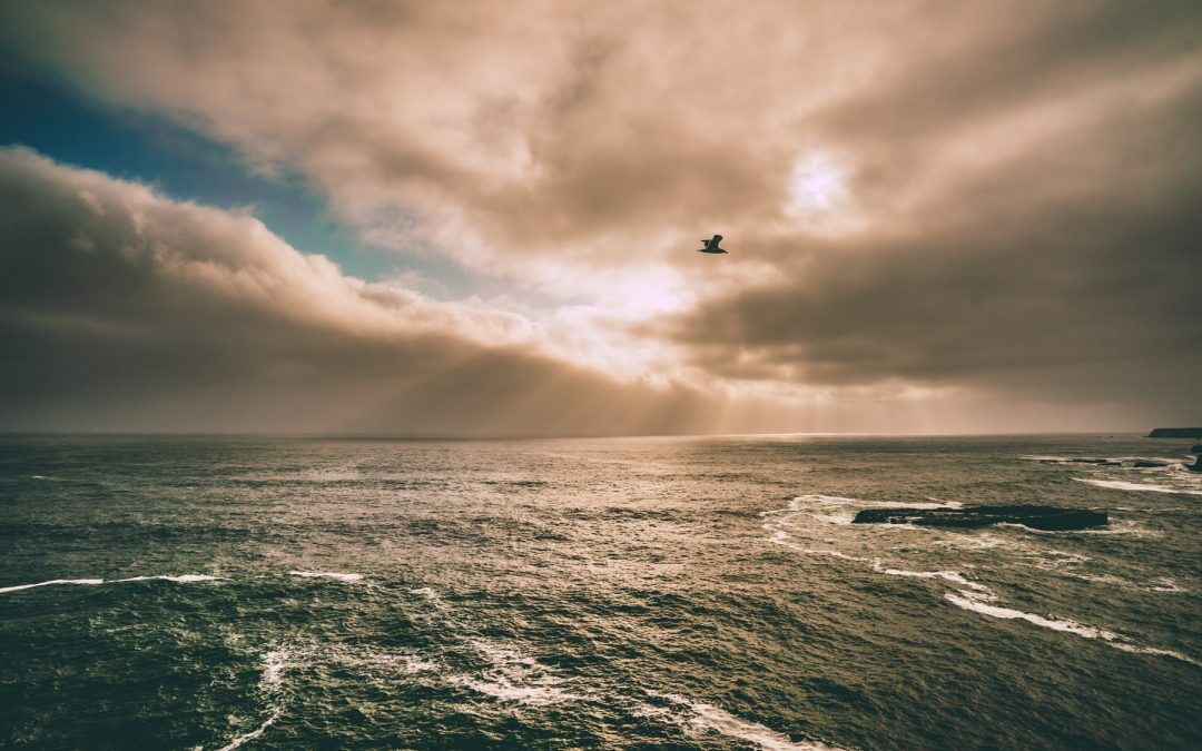 Thời Ngây Ngô – Phần 2