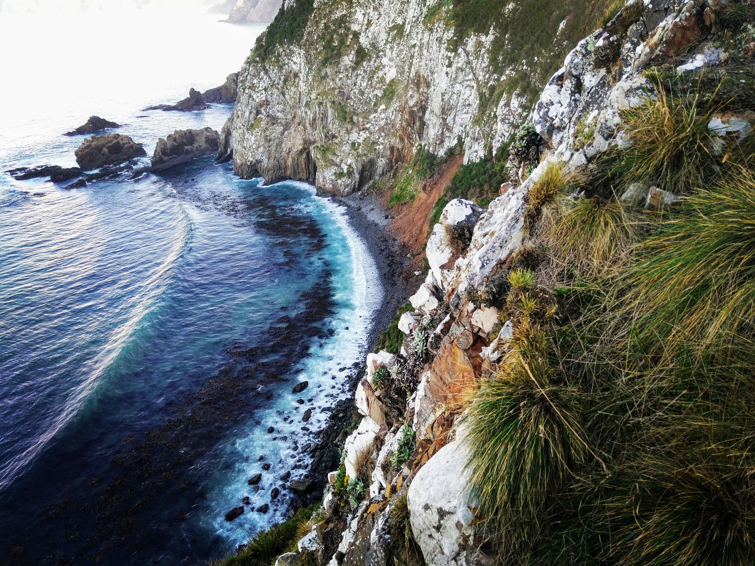 NEW ZEALAND